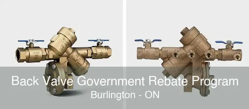 Back Valve Government Rebate Program Burlington - ON