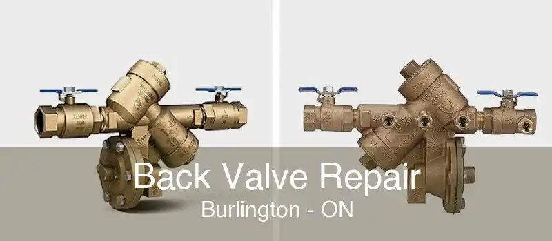 Back Valve Repair Burlington - ON