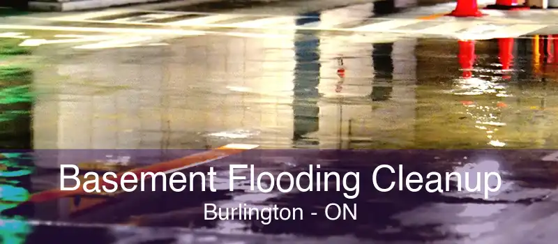 Basement Flooding Cleanup Burlington - ON