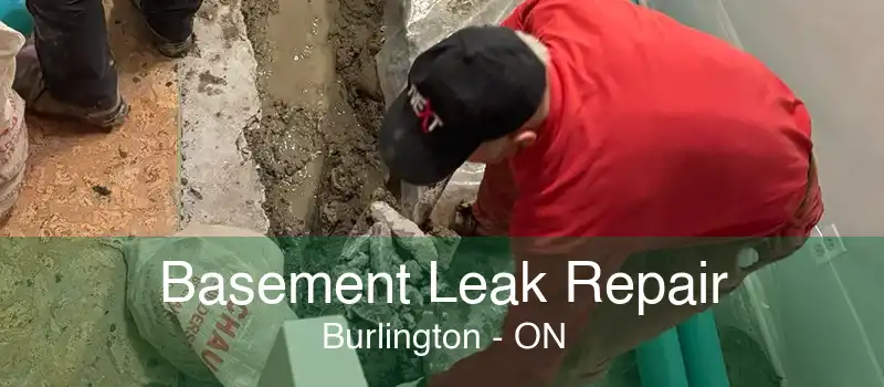 Basement Leak Repair Burlington - ON