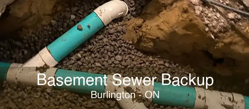 Basement Sewer Backup Burlington - ON