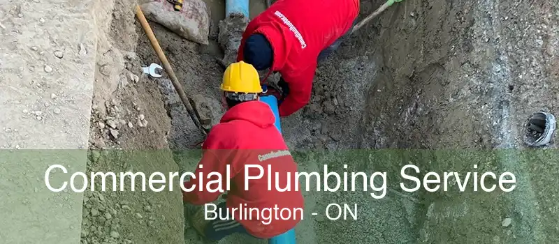 Commercial Plumbing Service Burlington - ON