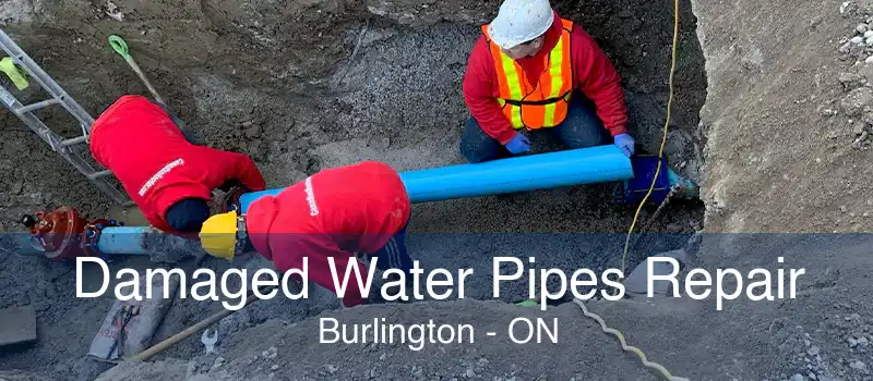 Damaged Water Pipes Repair Burlington - ON