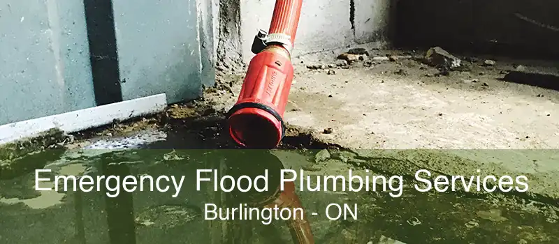 Emergency Flood Plumbing Services Burlington - ON