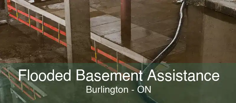 Flooded Basement Assistance Burlington - ON