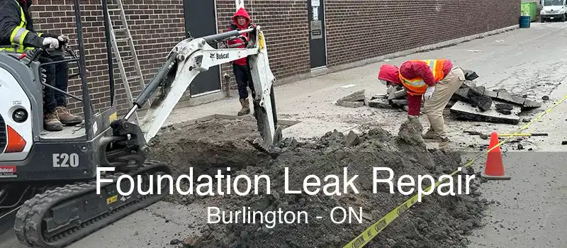 Foundation Leak Repair Burlington - ON