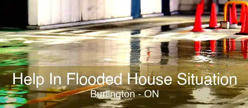 Help In Flooded House Situation Burlington - ON