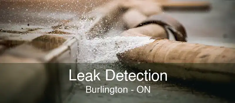 Leak Detection Burlington - ON