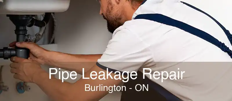 Pipe Leakage Repair Burlington - ON