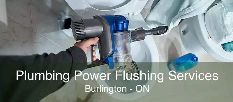 Plumbing Power Flushing Services Burlington - ON