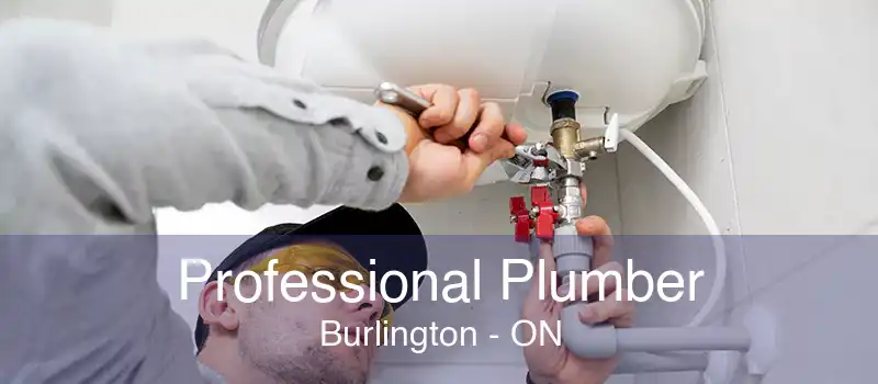 Professional Plumber Burlington - ON