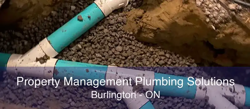 Property Management Plumbing Solutions Burlington - ON