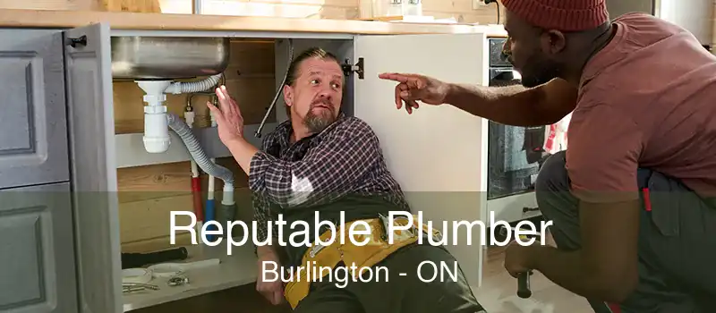 Reputable Plumber Burlington - ON