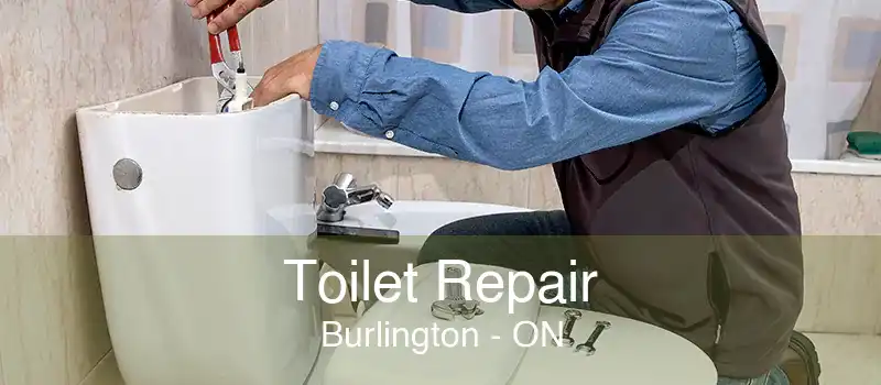 Toilet Repair Burlington - ON