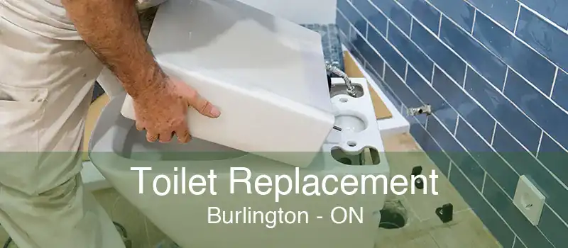 Toilet Replacement Burlington - ON