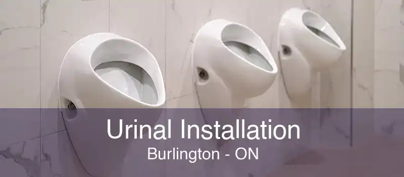 Urinal Installation Burlington - ON