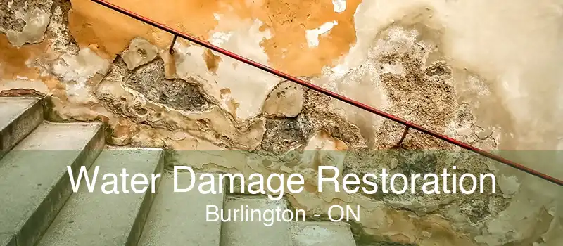 Water Damage Restoration Burlington - ON