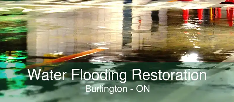 Water Flooding Restoration Burlington - ON