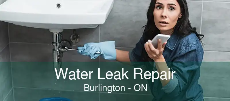 Water Leak Repair Burlington - ON