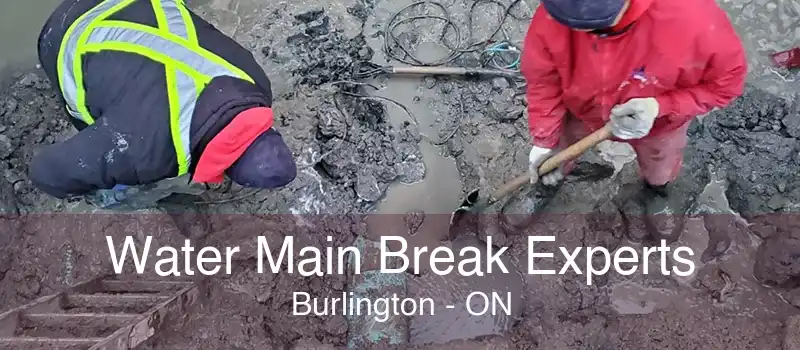 Water Main Break Experts Burlington - ON