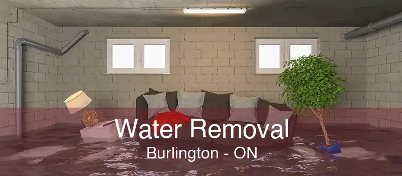 Water Removal Burlington - ON