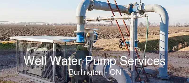 Well Water Pump Services Burlington - ON